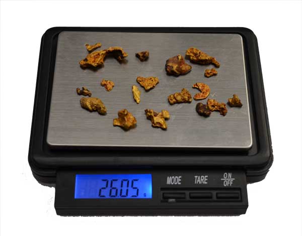 18 Gold Nuggets Found using a Rooster Booster & Nugget Finder Coil